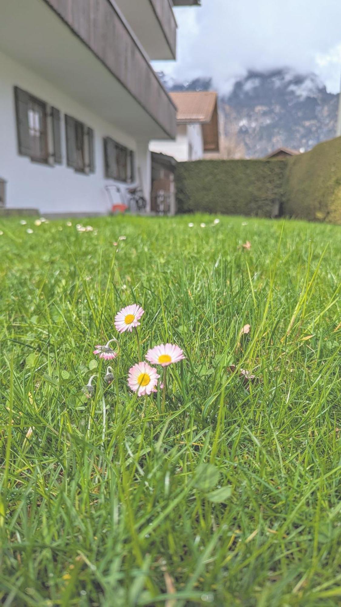 Calm Gap Apartment Garmisch-Partenkirchen Exterior photo